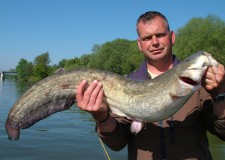 Több volt a horgász és a zsákmány is a Tisza-tavon