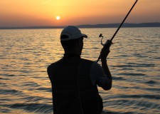 Az Országgyűlés elfogadta a halgazdálkodási törvényt