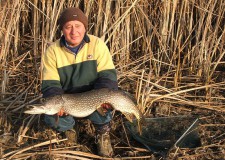 Nem emelkednek a Tisza-tavi horgászjegyek árai 2014-ben, sőt az ifjúsági jegyek ára jelentősen csökken!