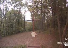 HAZAI VADÁSZ – Madárszemmel – Az Alsóperei Bakony Zöld Szíve Központ – 2014.09.27