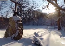 HAZAI VADÁSZ – Madárszemmel – A téli Vértes – 2015. január 26
