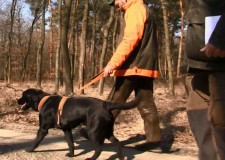 Nehezített Vércsapa Verseny Lovasberényben – 2015. március 15-i adás
