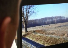 A “Menekülő lábodi szarvasok” – felvétel nyomában – 2015. március 15-i adás