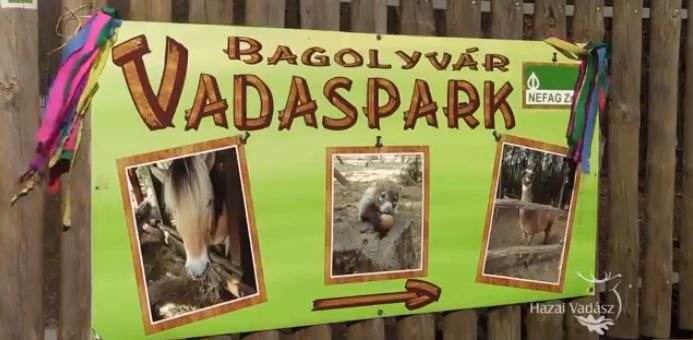 HAZAI VADÁSZ – Madárszemmel – Bagolyvár Vadaspark – 2015.02. 14