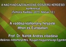 5 – Nagyvadgazdálkodás – Prof. Dr. Náhlik András rektorhelyettes