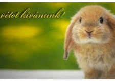 Áldott húsvétot kívánunk!