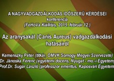 11 – Nagyvadgazdálkodás – Kemenszky Péter, titkár, OMVK Somogy Megyei Szervezete