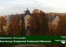 HAZAI VADÁSZ – Madárszemmel – Széchenyi Zsigmond Vadászati Múzeum – 2014.11.07