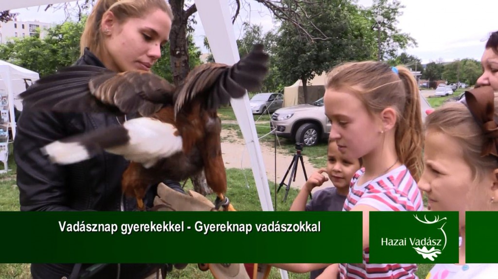 Vadásznap gyerekekkel – Gyereknap vadászokkal: Várpalotán – 2015.06.21-i adás