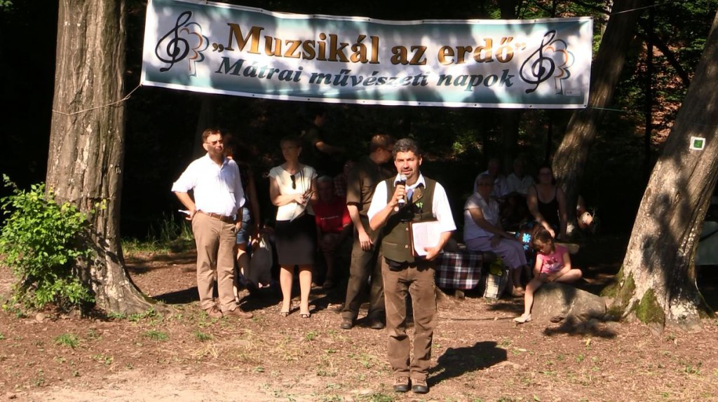 Életképek – Muzsikál az Erdő – Mátra – 2015.07.04.