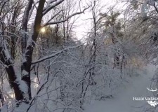 Hűsítő a hőségben: A téli Vértes – 2015. január