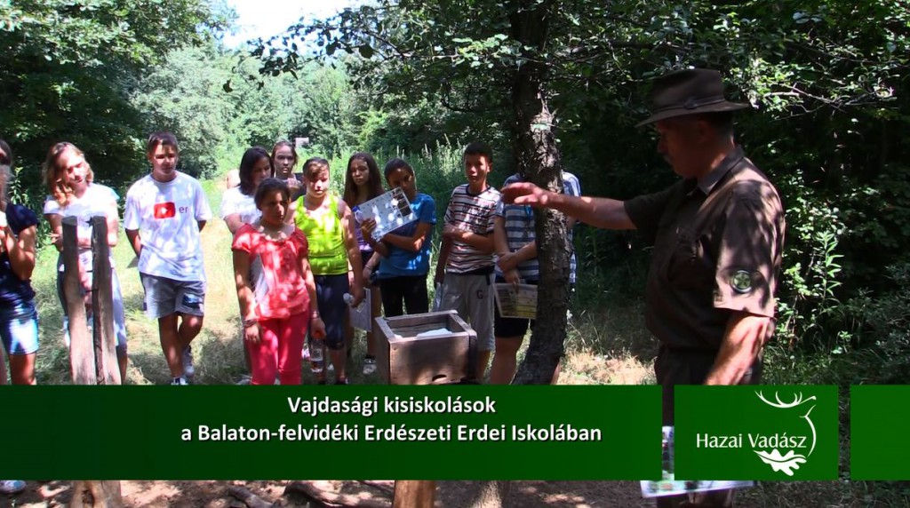 Vajdasági kisiskolások a Balaton-felvidéki Erdészeti Erdei Iskolában – 2015-08-30-i adás