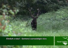 http://fhmag.hu/video/elindult-a-nasz-gemenci-szarvasboges-tura-2015-09-13-i-adas