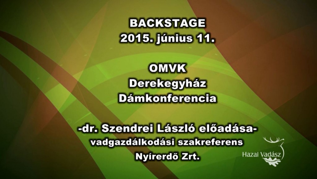 OMVK – Dámkonferencia – Dr. Szendrei László előadása – 2015.06.11