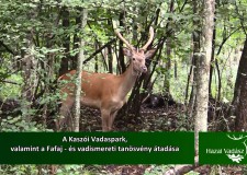 HAZAI VADÁSZ TV Magazin – 2015. szeptember 6-i adás