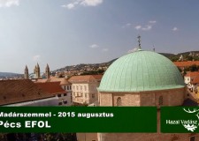 EFOL – 2015. augusztus
