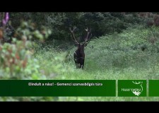 HAZAI VADÁSZ TV Magazin – 2015. szeptember 13-i adás