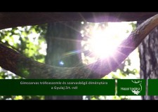 Gímszarvas trófeaszemle és szarvasbőgő élménytúra a Gyulaj Zrt.-nél – 2015.10.11-i adás
