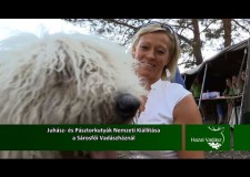 Juhász- és Pásztorkutyák Nemzeti Kiállítása – Sárosfői Vadászháznál – 2015.09.20-i adás