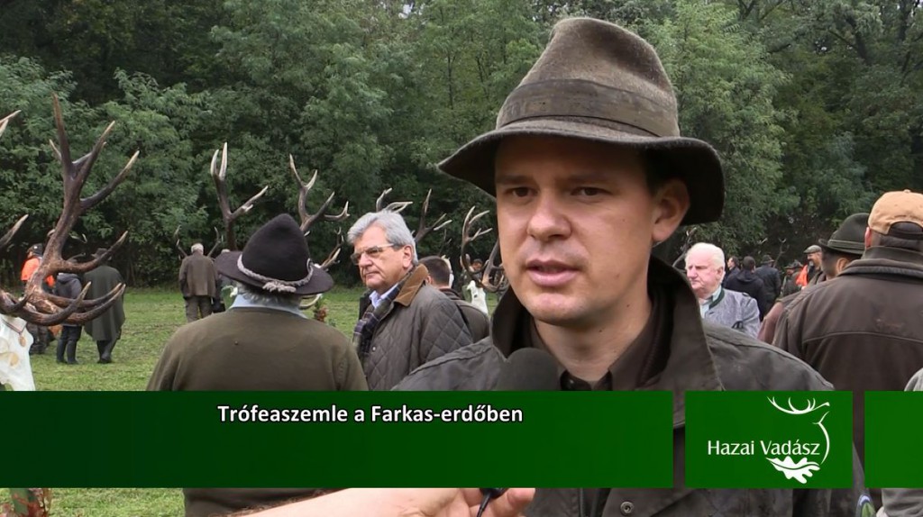 1-Farkas-erdő