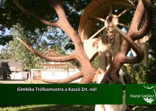 Gímbika Trófeamustra a Kaszó Zrt.-nél – 2015.11.14-i adás