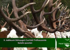 Műsorajánló – HAZAI VADÁSZ – 2015. november 14 – szombat 17:30 óra