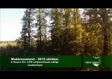 A Kaszó Zrt. LIFE pályázatának lakossági fóruma – 2015.10.27. – Madárszemmel