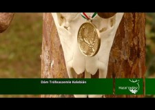Dám Trófeaszemle Kelebián – 2015.11.22-i adás
