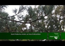 Szent Hubertus misén, az Uzsai Erdészetben – 2015.11.22-i adás