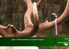 Dám Trófeaszemle Lovasberényben – 2015. december 6-i adás