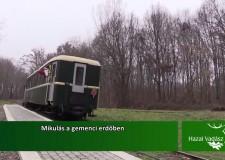 Mikulás a gemenci erdőben – 2015.12.26-i adás
