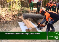 Fakitermelők döntési tréningje a Mecsekben – 2015. december 6-i adás