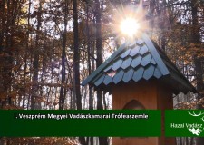 Műsorajánló – HAZAI VADÁSZ – 2015. december 6 – vasárnap 11 óra – ECHO-TV