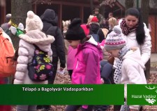 Télapó a Bagolyvár Vadasparkban – 2016.12.26-i adás