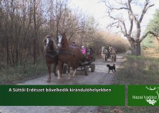 A Süttői Erdészet bővelkedik kirándulóhelyekben – 2015.12.12-i adás