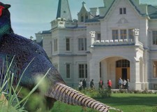 HAZAI VADÁSZ TV Magazin – 2016. január 17-i adás