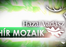 HAZAI VADÁSZ – HÍR MOZAIK – 2016.02.01 – 6