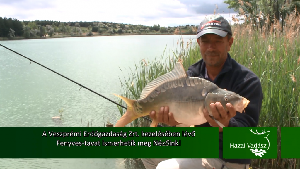 Erdei Attilával és Ambrus Tiborral a Bakony lábánál elterülő, festőien szép Fenyves-tavon!