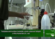 Talajlaboratóriumban kutatják a jövő erdeinek fafajait – 2016.02.14-i adás