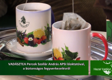 VADÁSZTEA Percek Szollár András APSI lőoktatóval – 2016.02.14-i adás