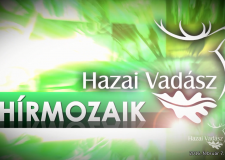HÍRMOZAIK – HAZAI VADÁSZ – 2016.02.06-i adás