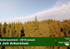 Madárszemmel – A Jeli Arborétum – 2016.01.14