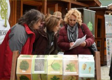 Dél-Dunántúli Régió Erdészeti Erdei Iskolák Nyílt Napja – 2016.05.14-i adás