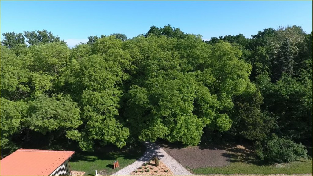 Madárszemmel képek – Megújult a Tiszaigari Arborétum – 2016.05.09