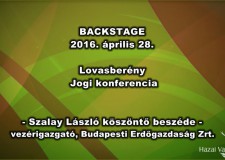 „Az állami erdőgazdaságok vagyonkezelési szerződései” c. konferencia – Szalay László előadása