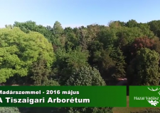 Madárszemmel – A Tiszaigari Arborétum – 2016. május