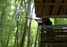 Trófea Vadgasztronómiai Vadfesztivál Tamásiban – 2016.07.09-i adás