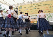 Országos Vadgasztronómiai Fesztivál Soponyán – 2016.09.17-i adás