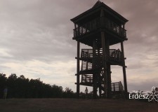Madárszemmel film – Interaktív tanösvény a Soproni Parkerdőben – 2016.09.02