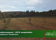 Madárszemmel – Tündérkertek V. Találkozója – 2016.09.24 – Budakeszi